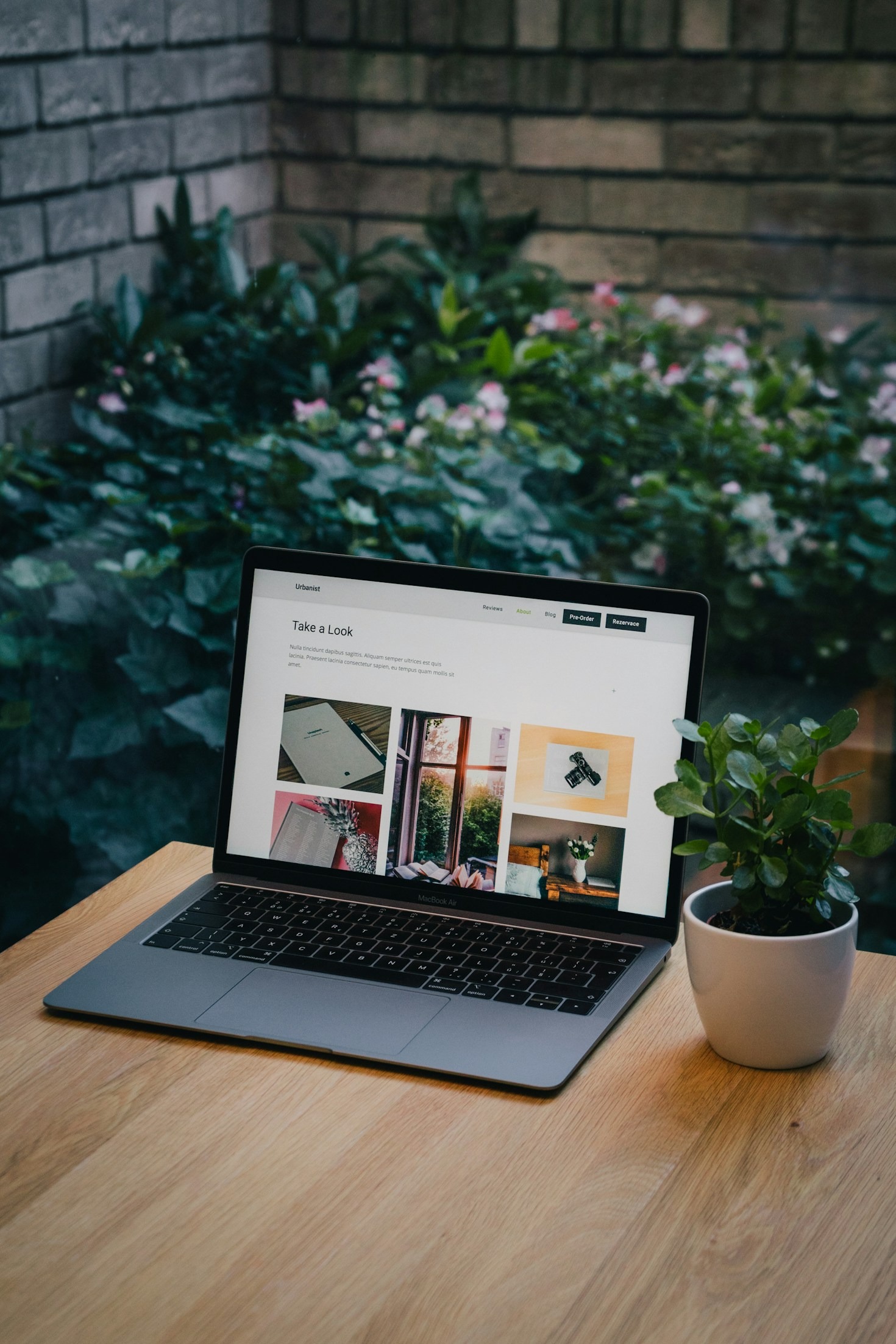 Empowering SMBs Through Innovative Web Solutions